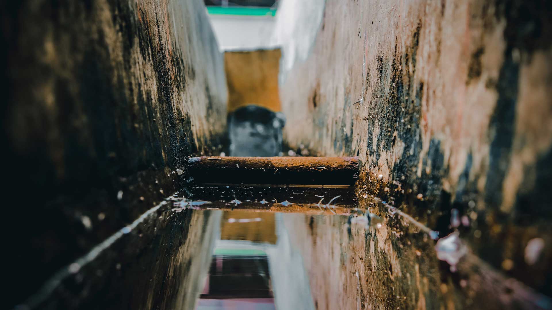 Some-Unique-&-Simple-Tips-to-Clean-Your-Drains-on-expertview